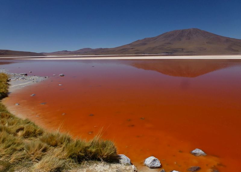 Laguna Colorada, Bolivia