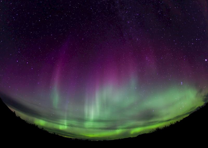 Aurora Borealis in the Yukon Territory