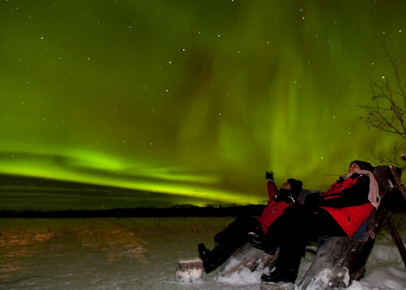 The Yukon night sky