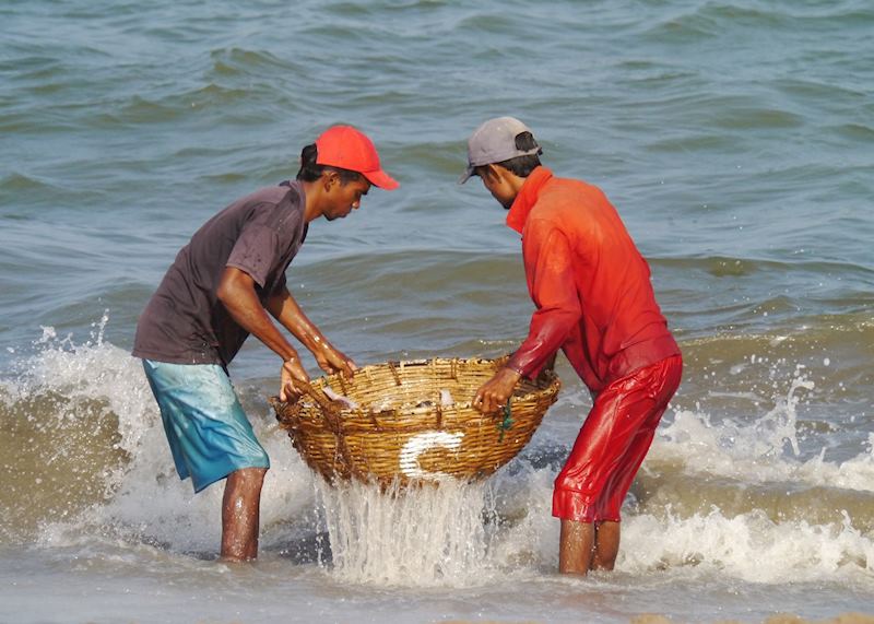 Fishermen wash their catch in the sea, Negombo Fish Market