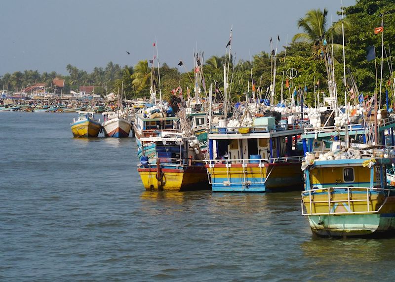 Fishing boats in the harbour, Negombo