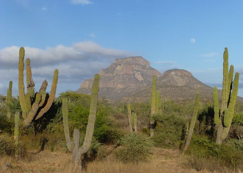 Baja California's 'Monument Valley', Mexico