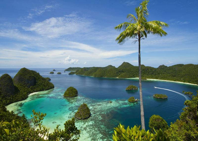 Raja Ampat archipelago, Indonesia