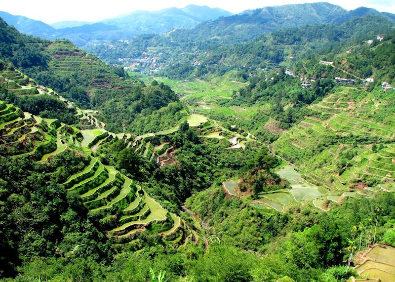 Valley view of the Banaue rice terraces