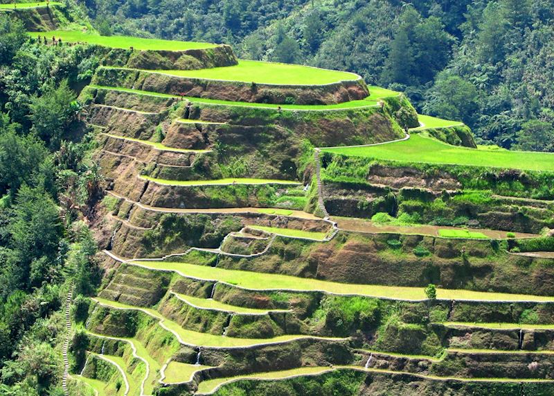 Banaue rice terraces