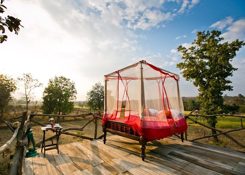 Jamtara Wilderness Camp star bed