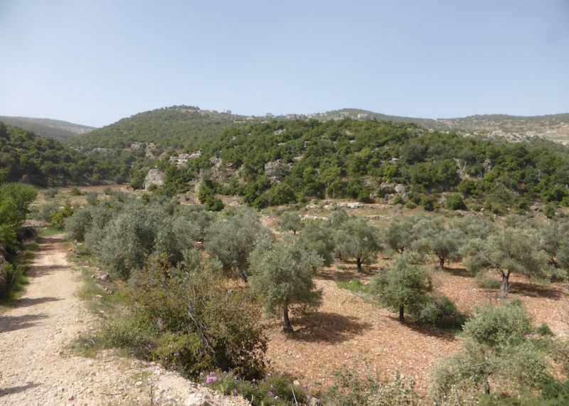 Prophet's Trail, Ajloun Nature Reserve