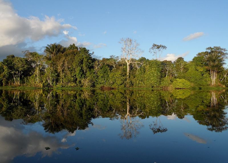 Amazon scenery, Peru