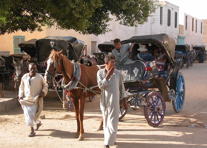 Horse and carriage near the Temple of Edfu, Egypt