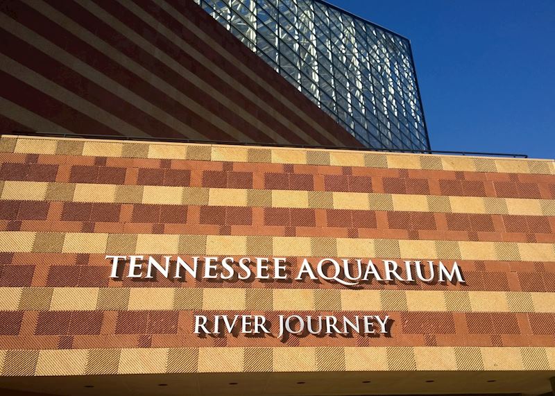 The Tennessee Aquarium, Chattanooga