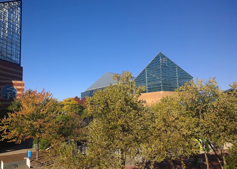 The Tennessee Aquarium, Chattanooga