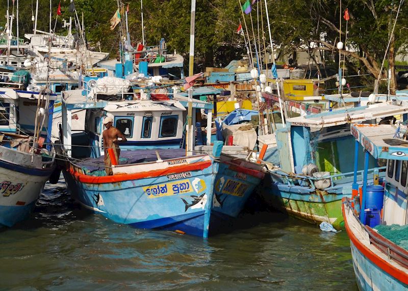 Boats in the harbour, Negombo