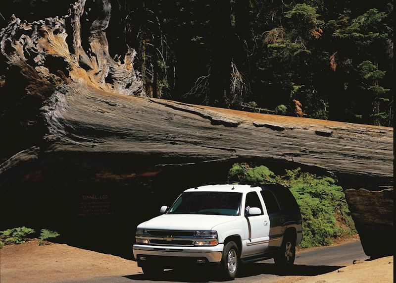 Sequoia National Park