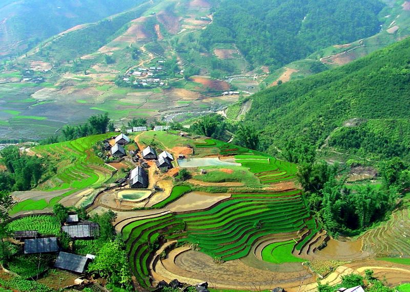 Rice terraces near Sapa, Vietnam