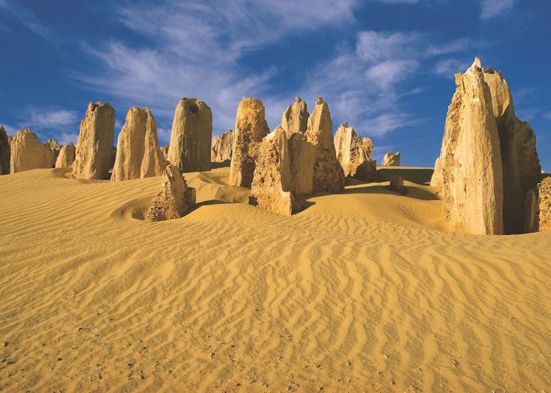 The Pinnacles, Nambung National Park