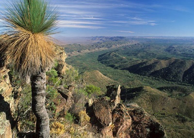 Flinders Ranges, South Australia