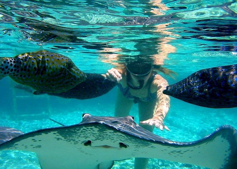 Snorkelling with the rays, Taha'a
