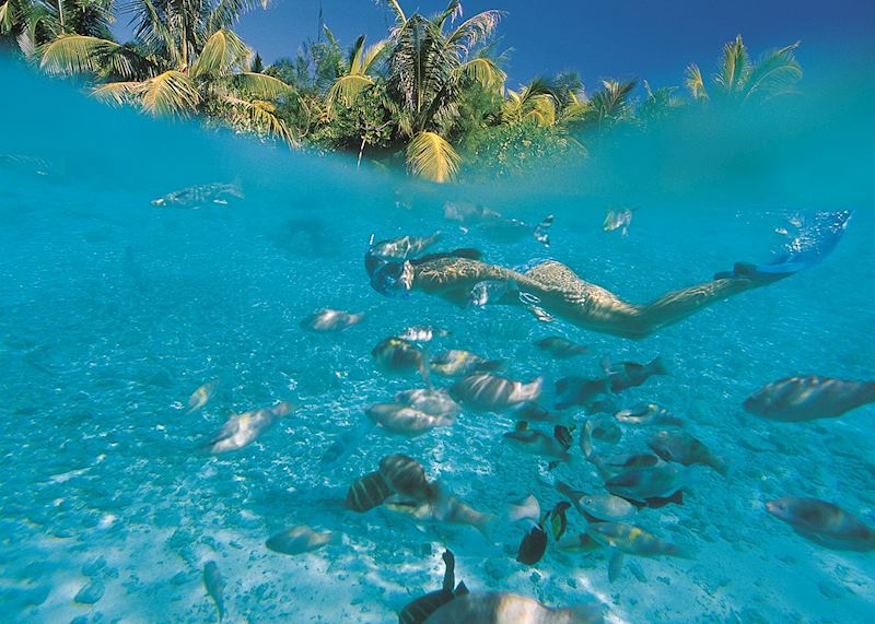 Snorkelling in Bora Bora