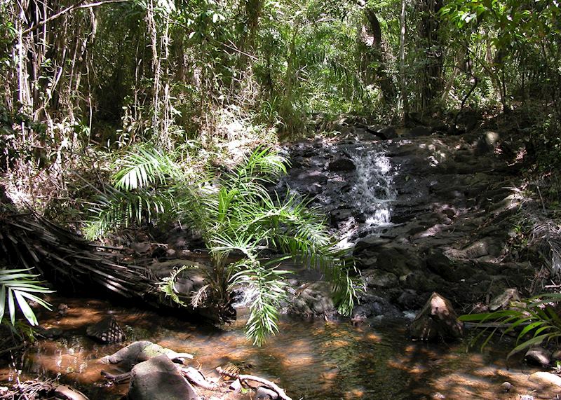 Sapiringha Reserve, Praia do Forte