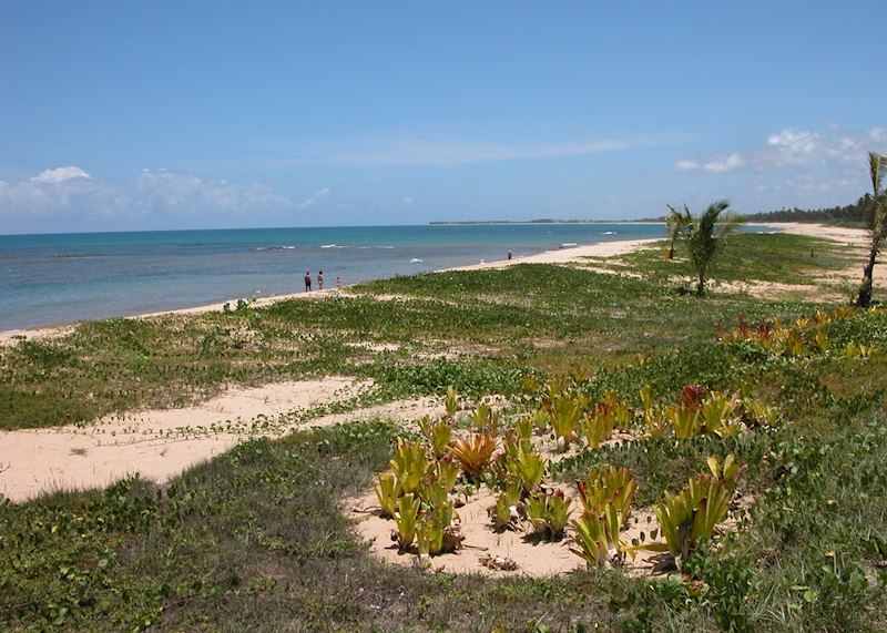 Praia do Forte, Brazil