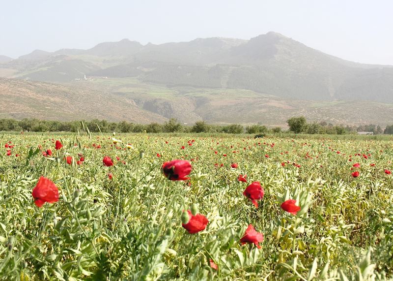Fez, Morocco