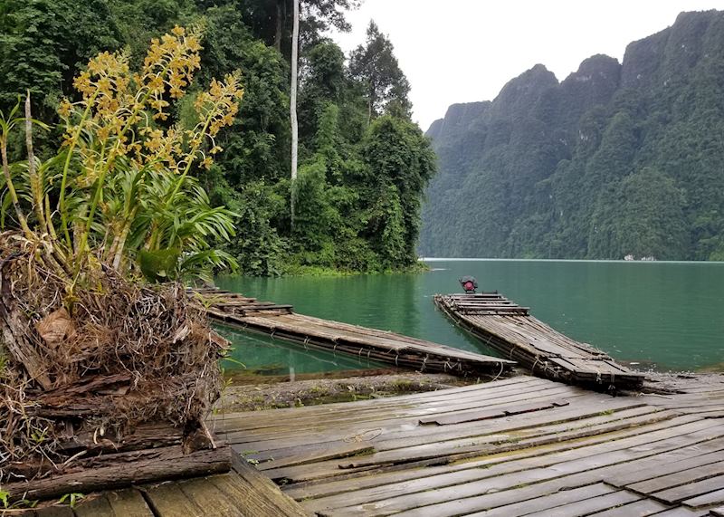 Bamboo rafts in Khao Sok