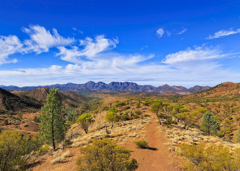 Wilpena pound, Flinders Ranges