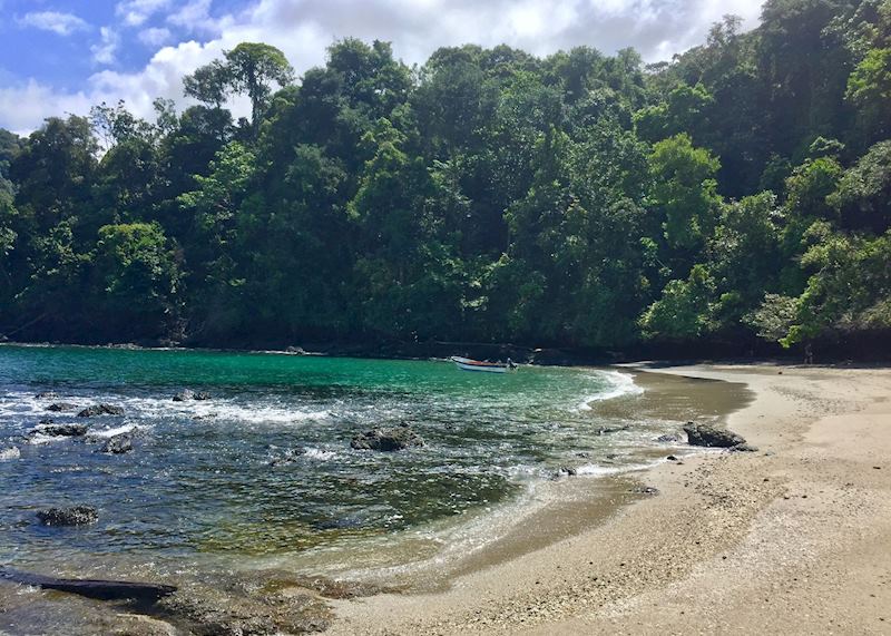 Beach in Utria National Park
