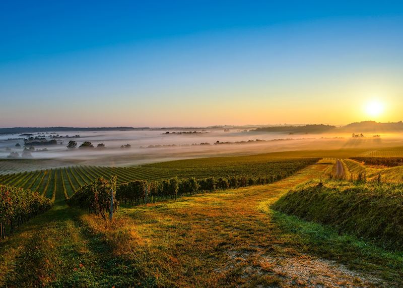 Médoc wine region, France
