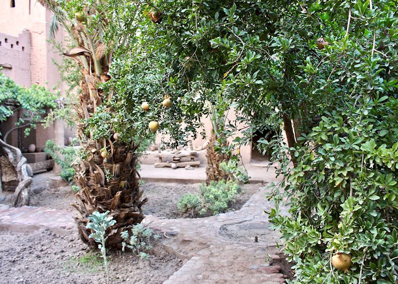 Kasbah Amridil