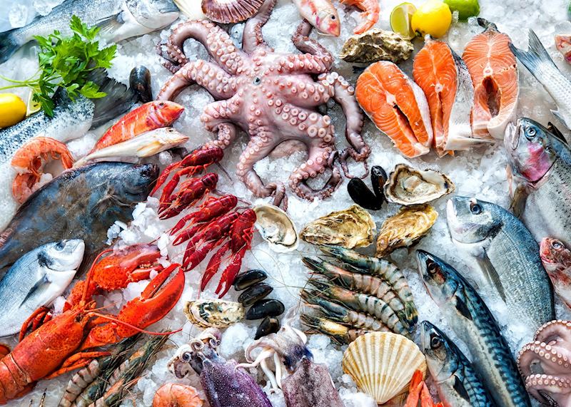 Fresh seafood, Galaxidi