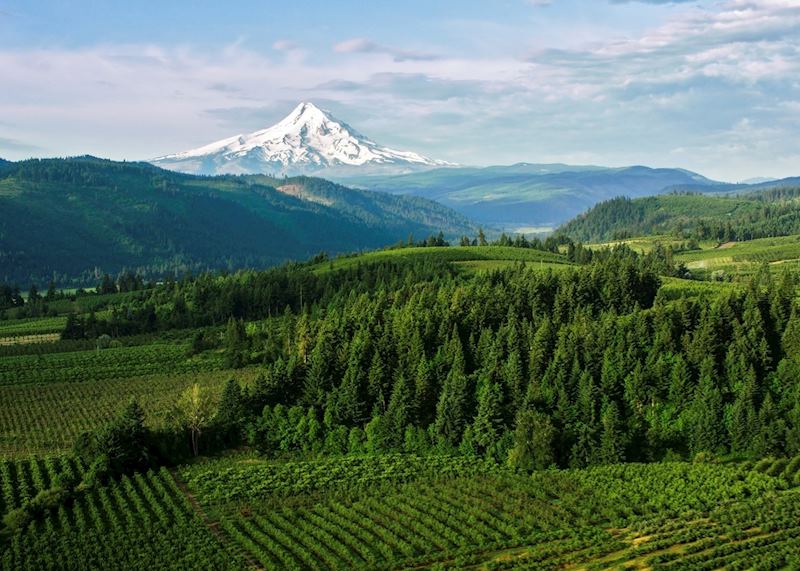 Aerial Farmland with beautiful view of the Mount Hood