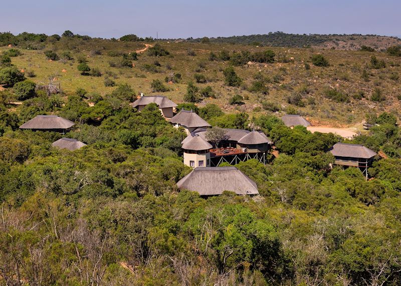 Lalibela Game Reserve - Tree Top Lodge