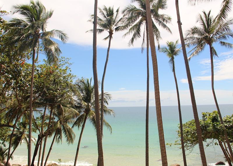 Beach views and palm trees