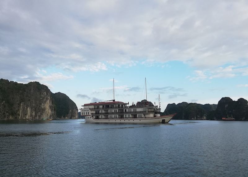 Heritage Line Ginger