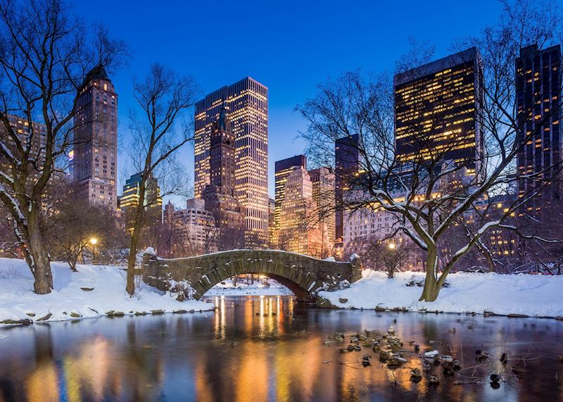 Winter in Central Park