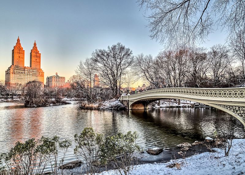 Winter in Central Park