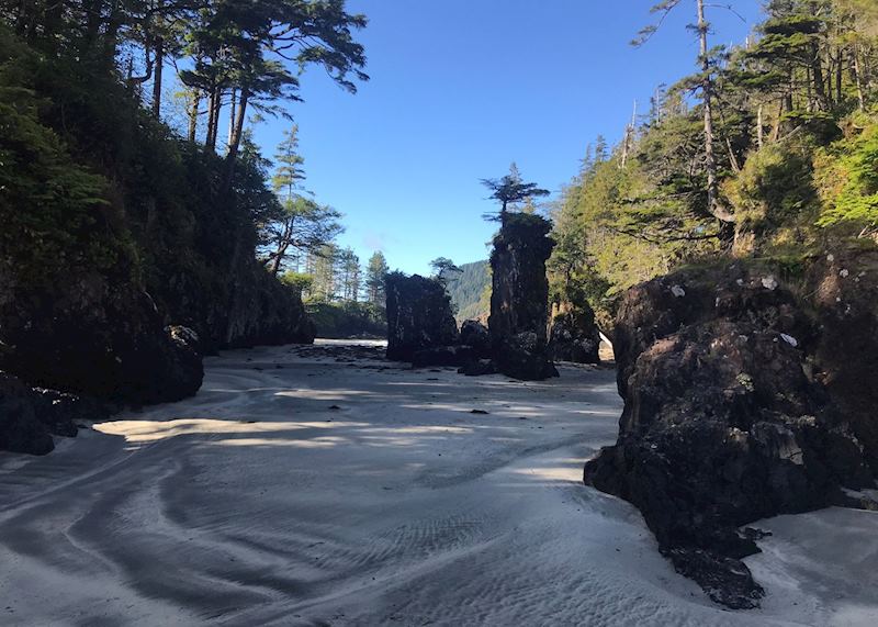Sea Stacks at San Josef Bay, north Vancouver Island