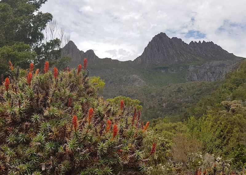 Cradle Mountain