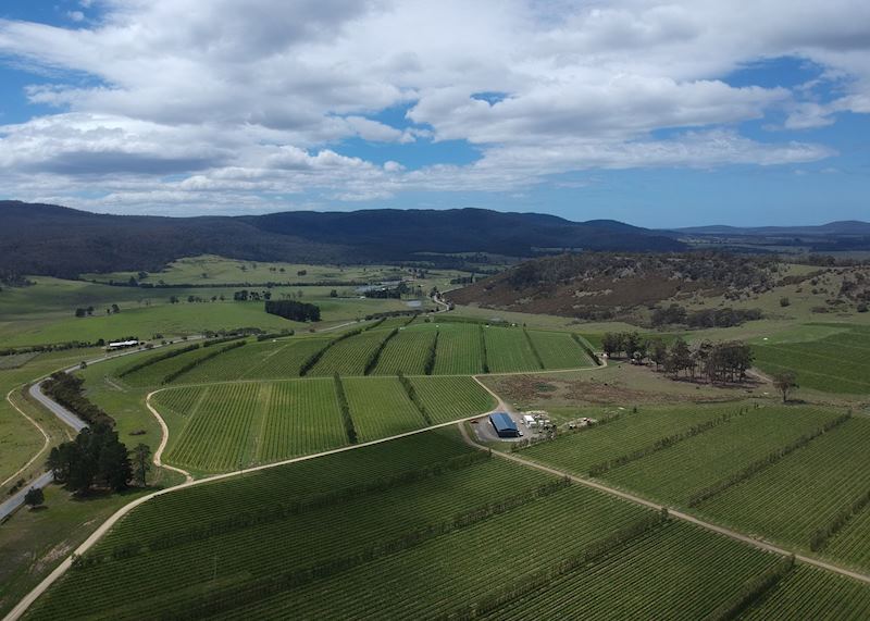 Devil's Corner Winery 