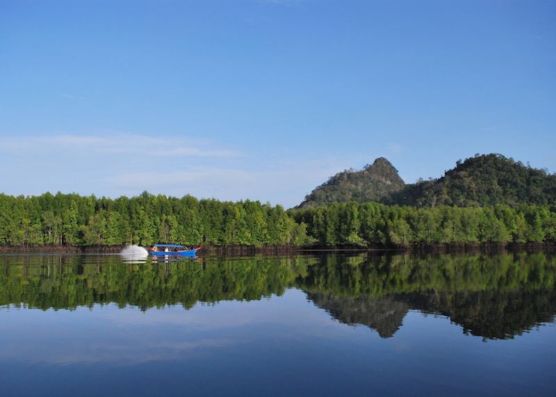 Mangroves of Langkawi