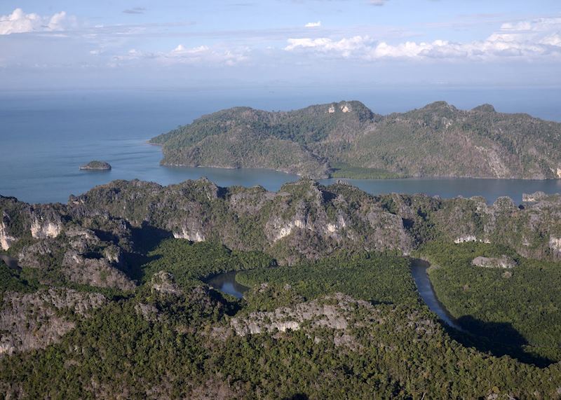 Mangroves from above