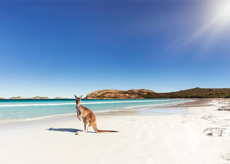 Lucky Bay, Esperance