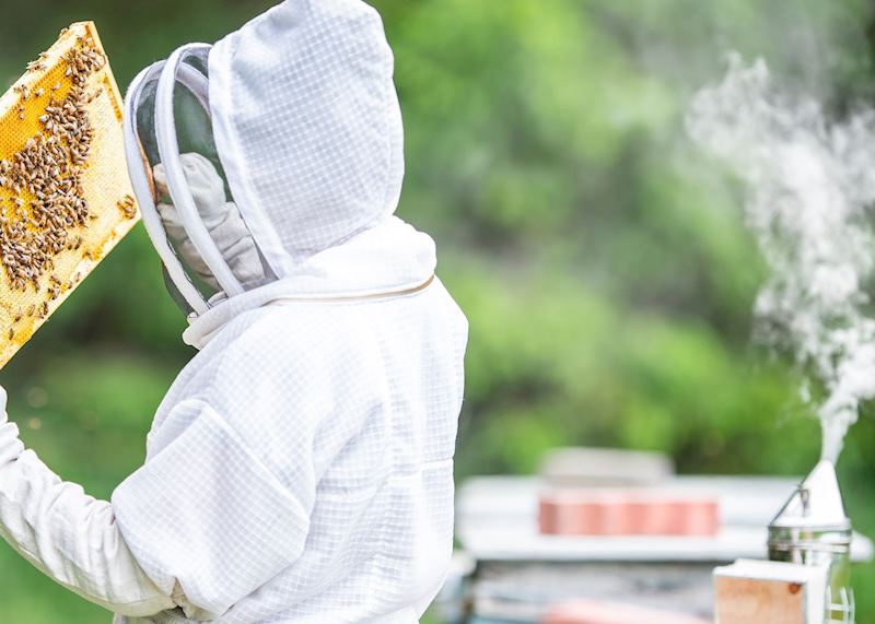 Beekeeping, Greece