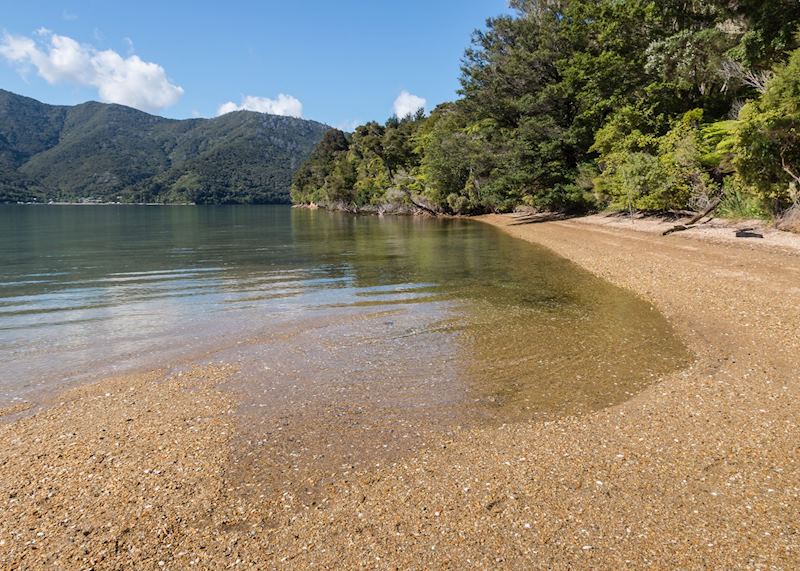 Beach, Queen Charlotte Sound