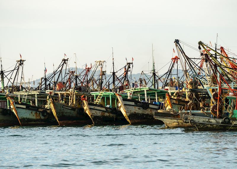 Fishing boats in Kota Kinabalu