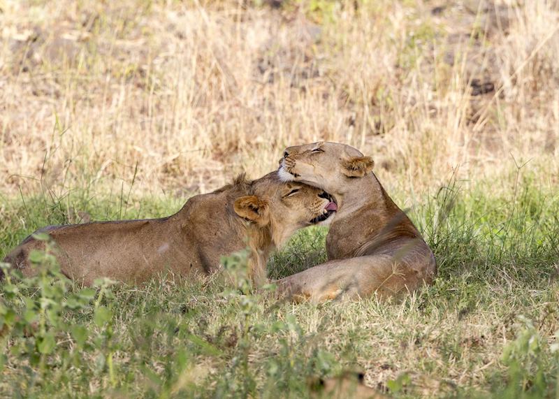 Meru National Park