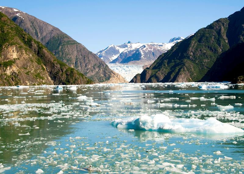 Icefield around Sawyer Glacier, near Tracy Arm, Alaska