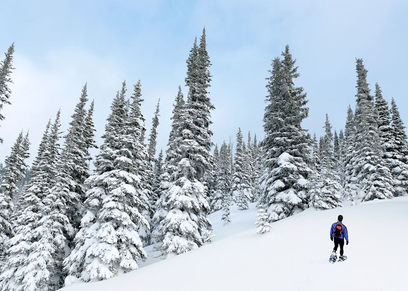 Snowshoe tour on The Medicine Trail, Whistler