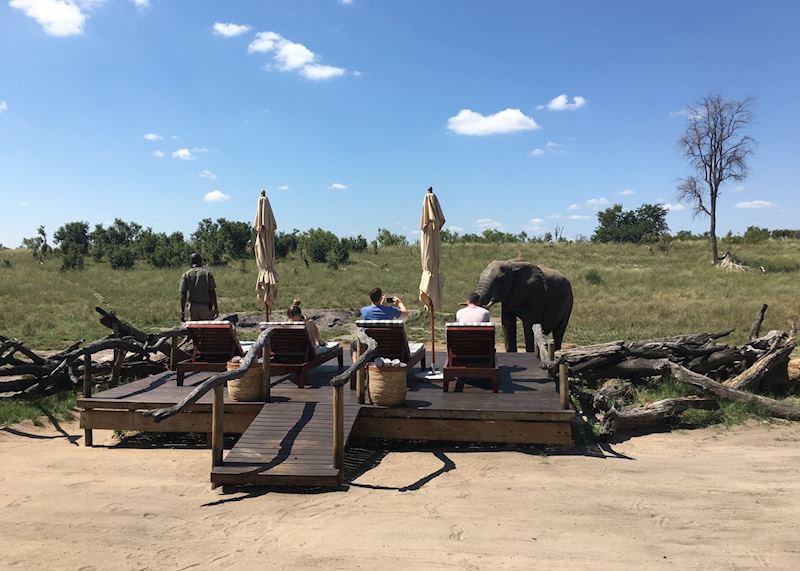 Watching elephant from Somalisa Expeditions